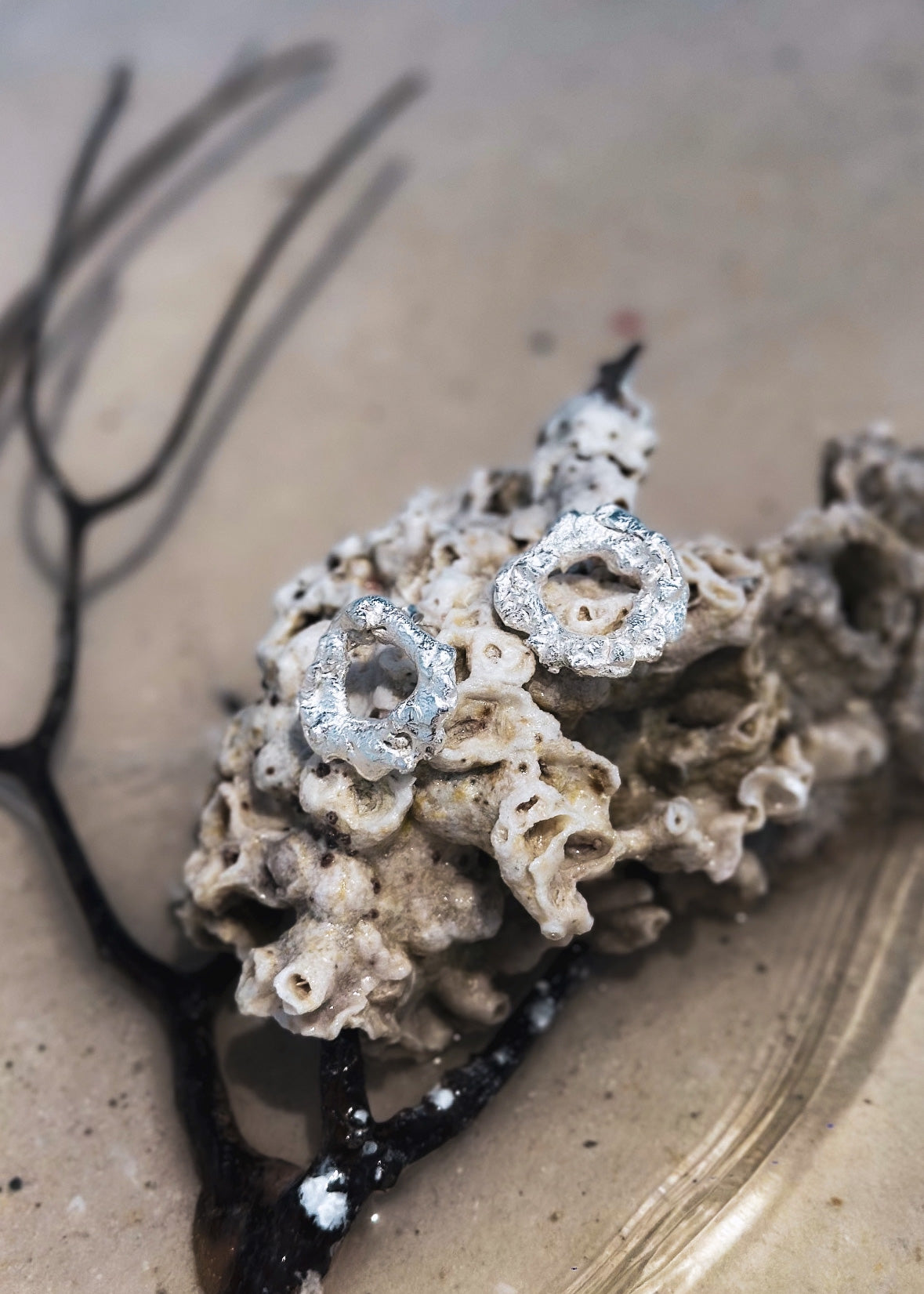 Coral Earrings Silver